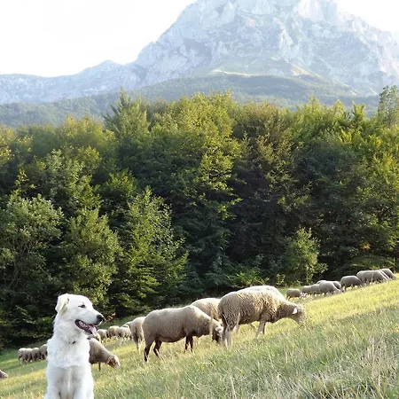 Agriturismo Lu Formaggio Castelli
