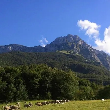 Alloggio per agriturismo Agriturismo Lu Formaggio